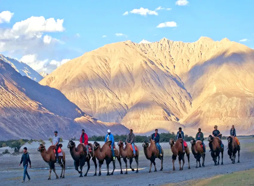 Leh Ladakh Group Package